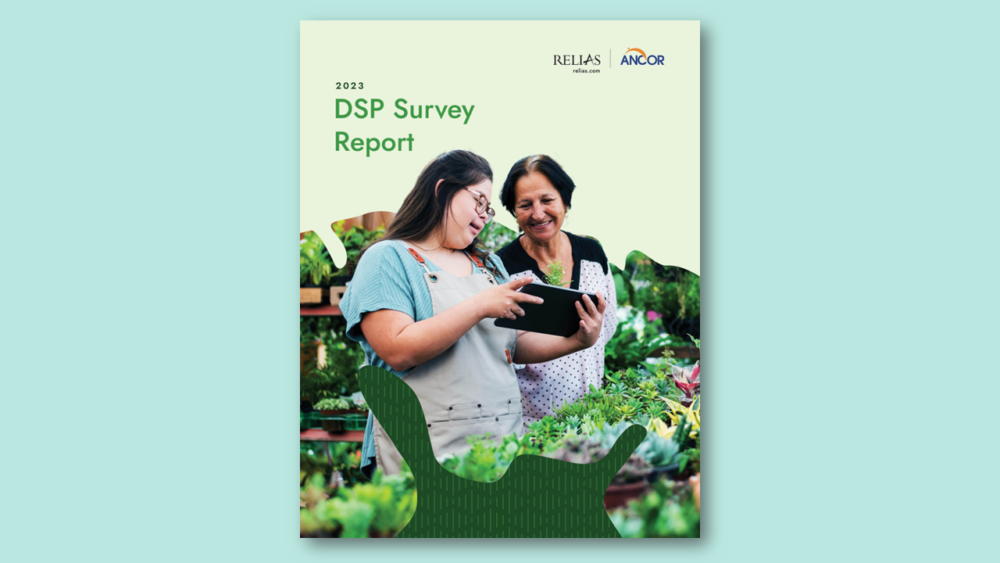 2023 Dsp Survey Report Web 1000x563 