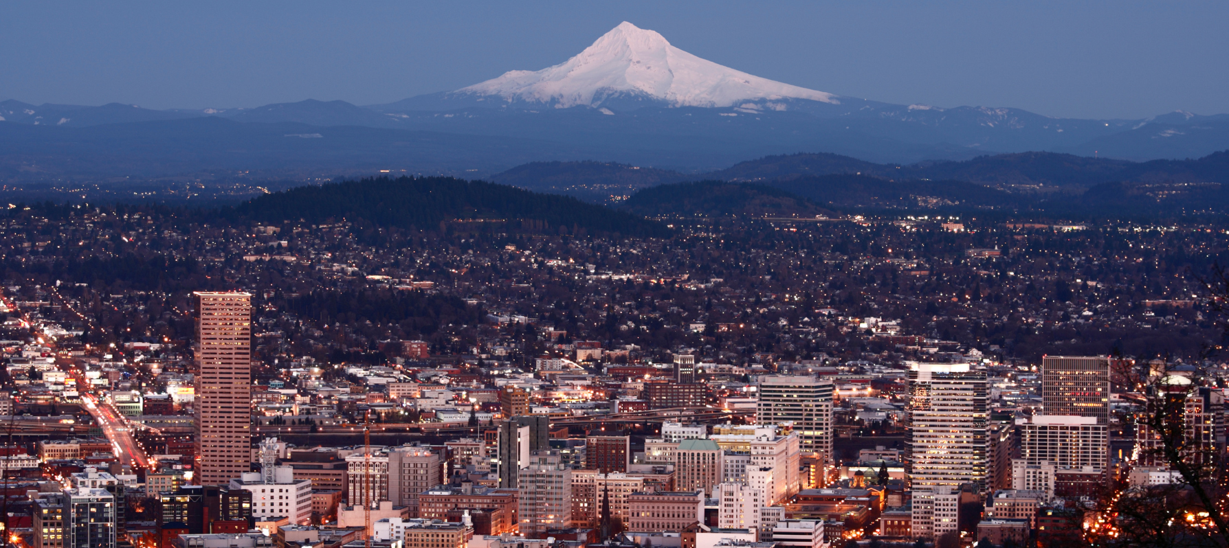 image of Mt. Rainier from the distance